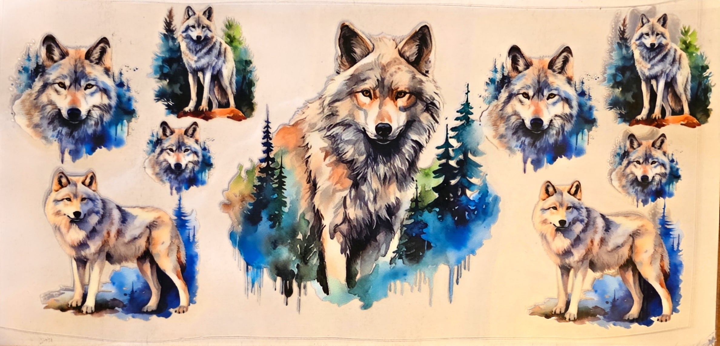 Animals