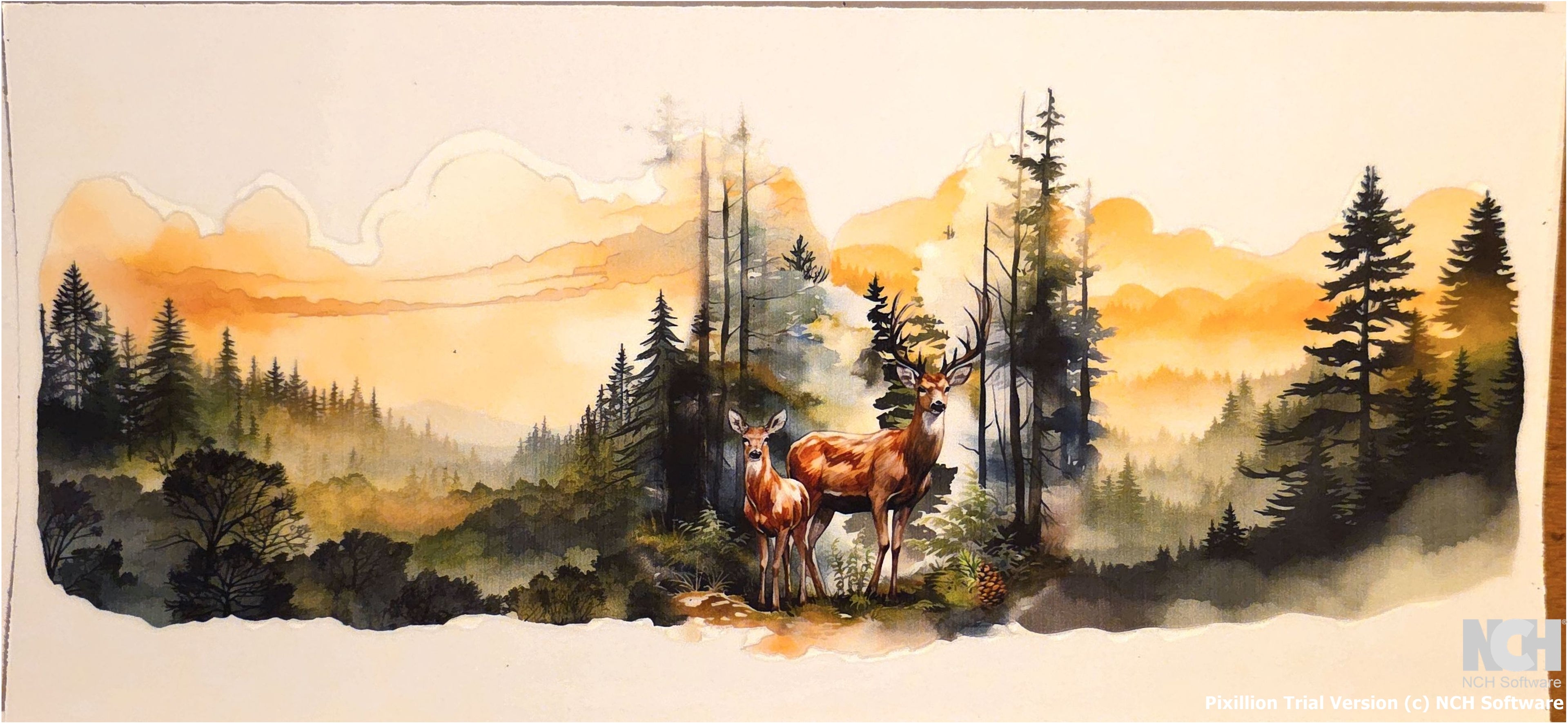 Country