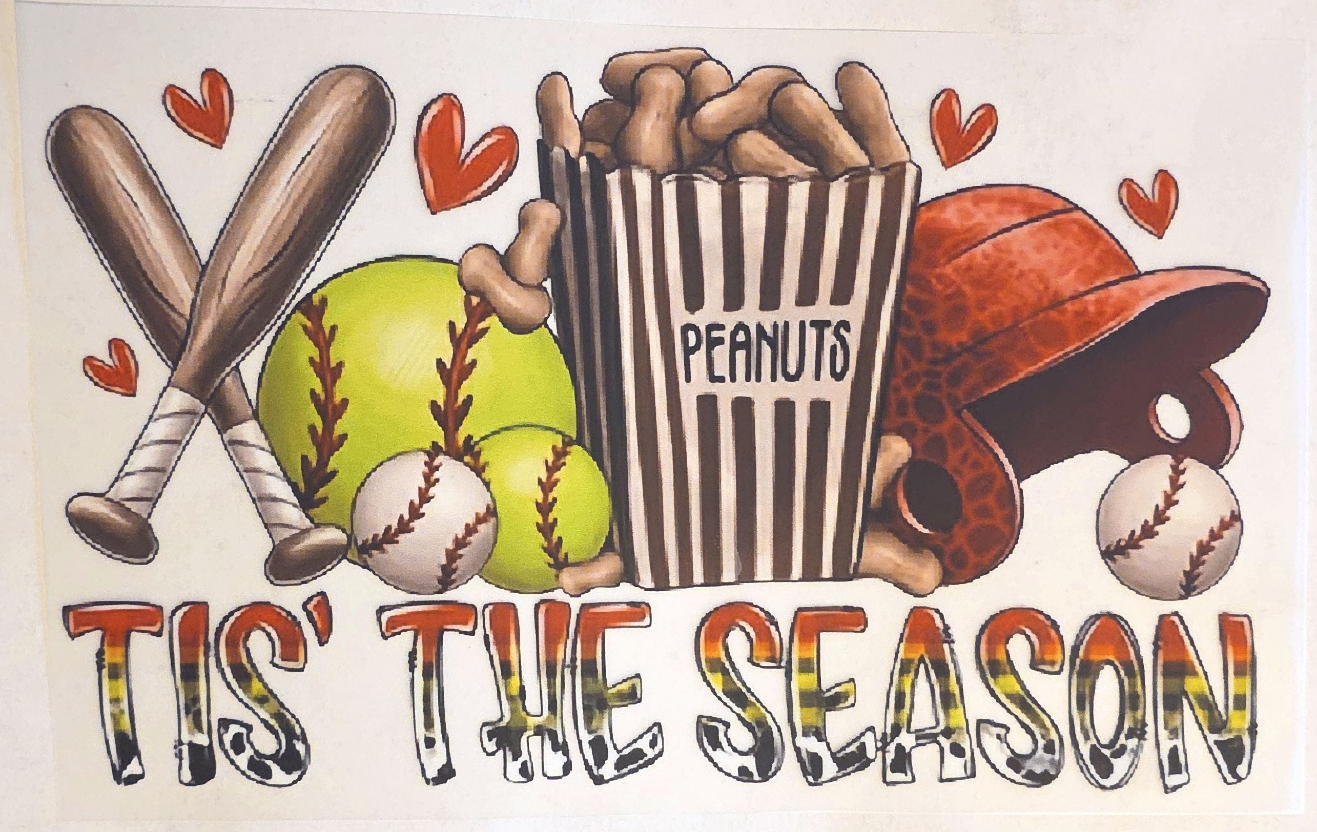 Baseball/Softball/Volleyball