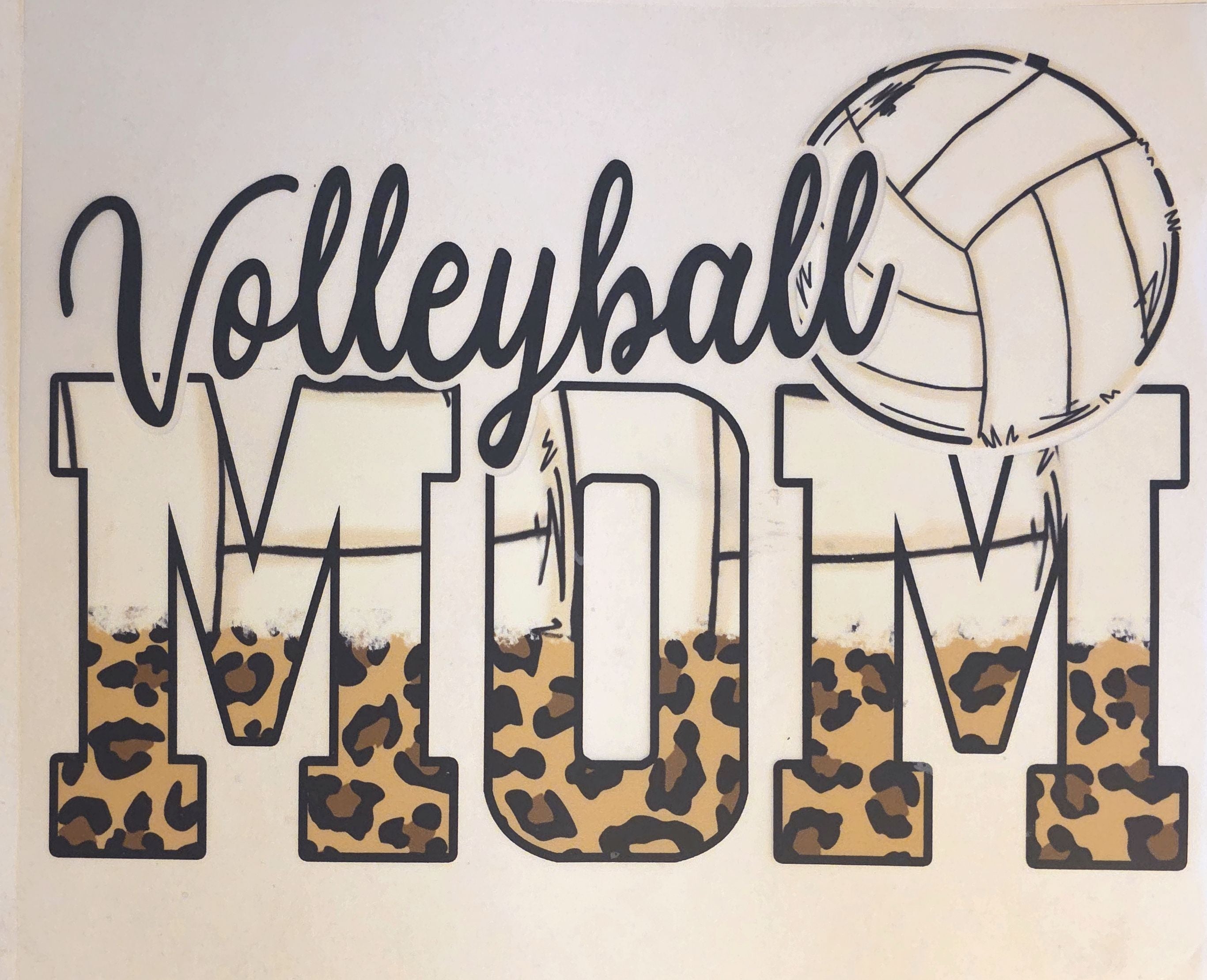 Baseball/Softball/Volleyball
