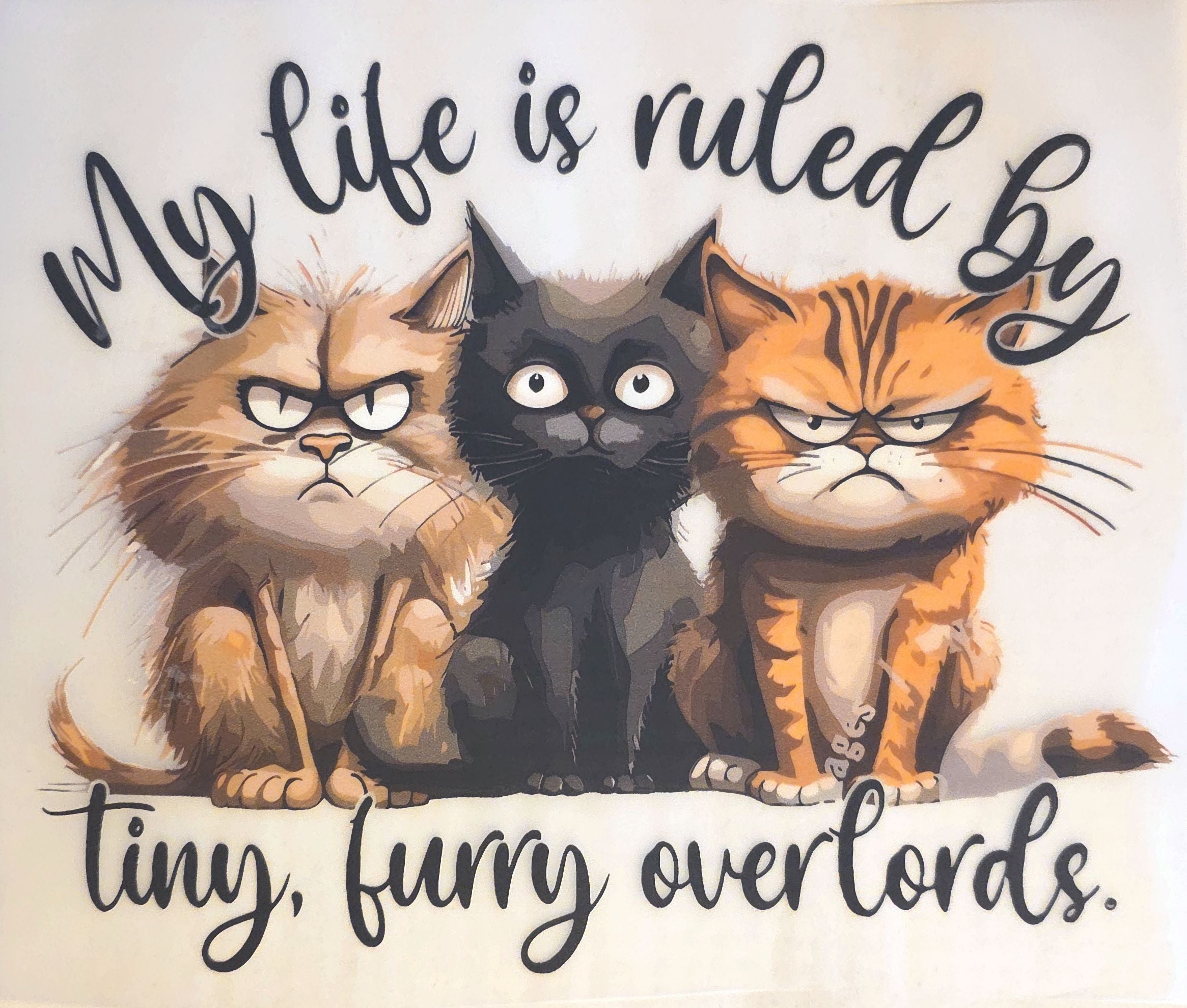 Animals