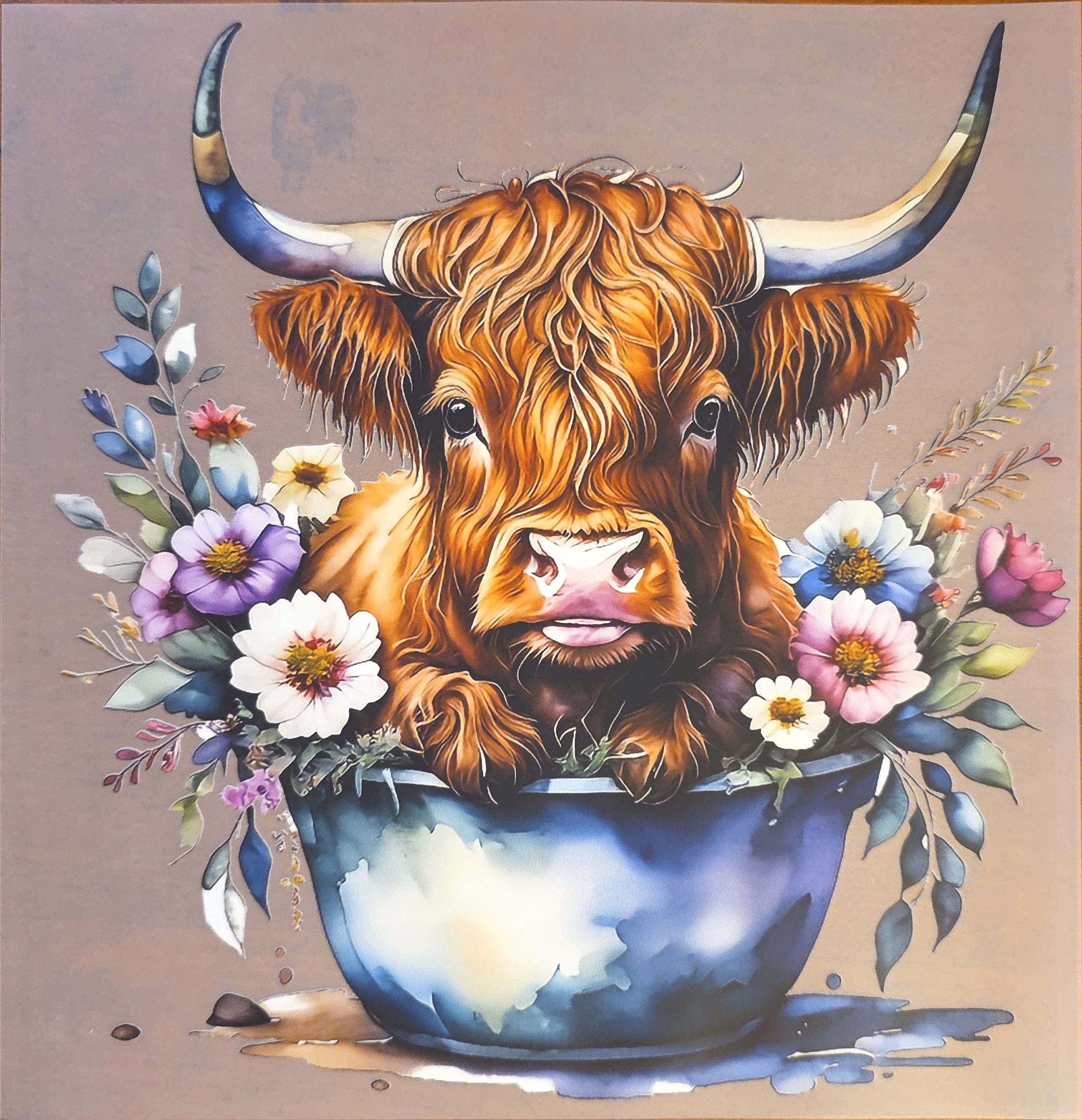 Animals