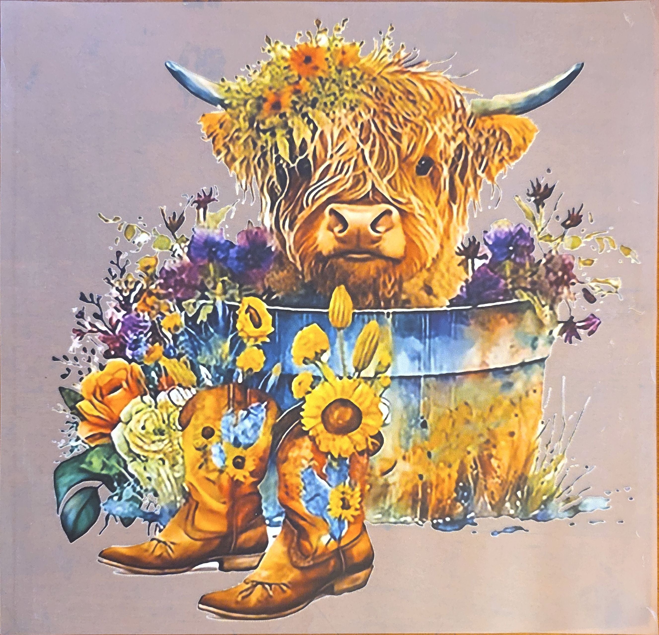 Animals